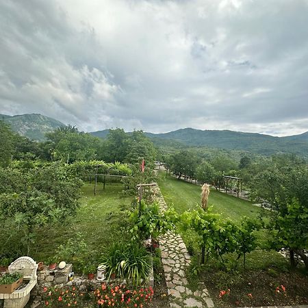 Vila Disha Tirana Exterior foto