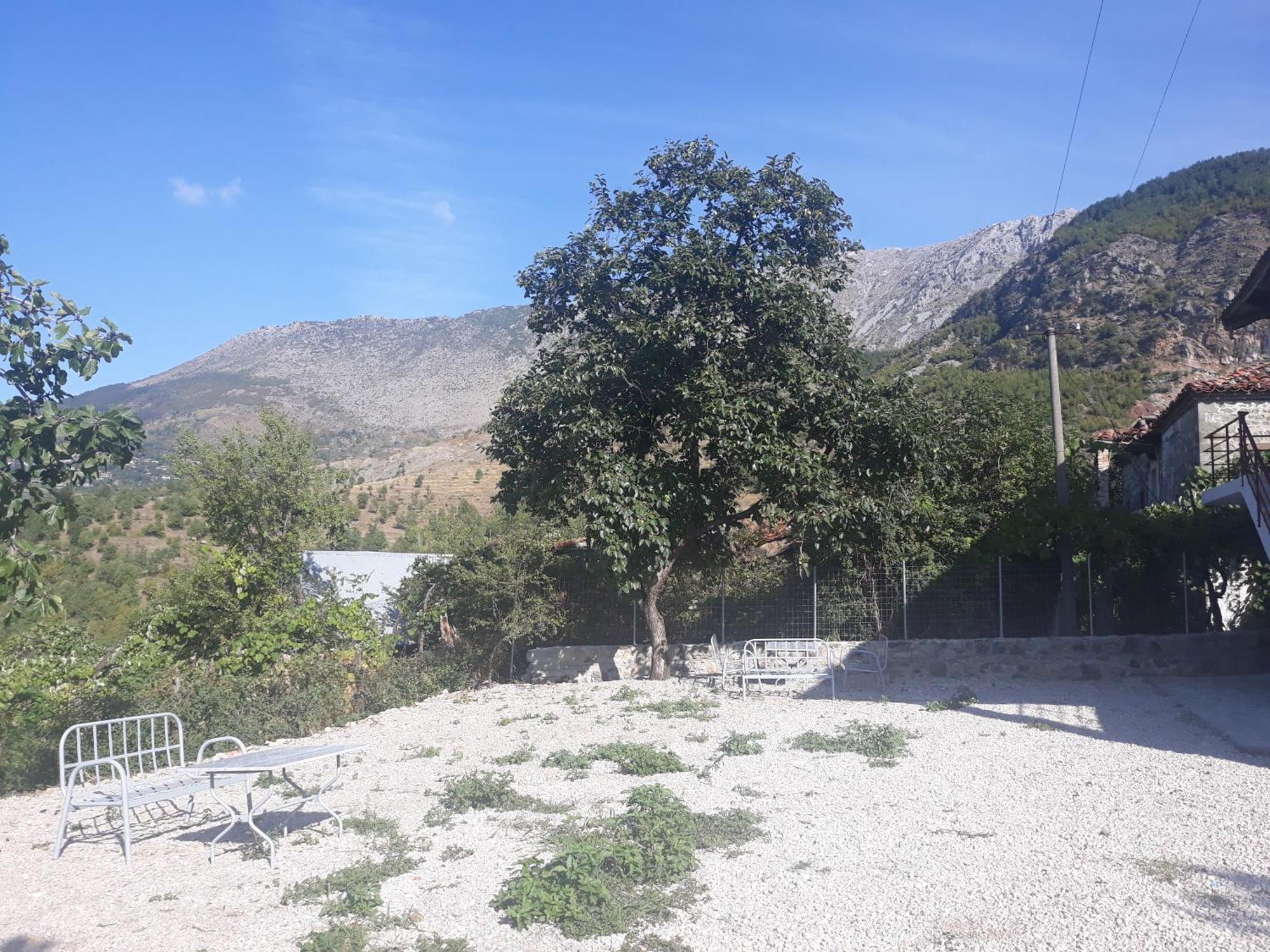 Vila Disha Tirana Habitación foto